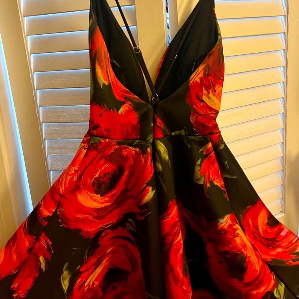 🌹Ruby red rose print dress🌹
